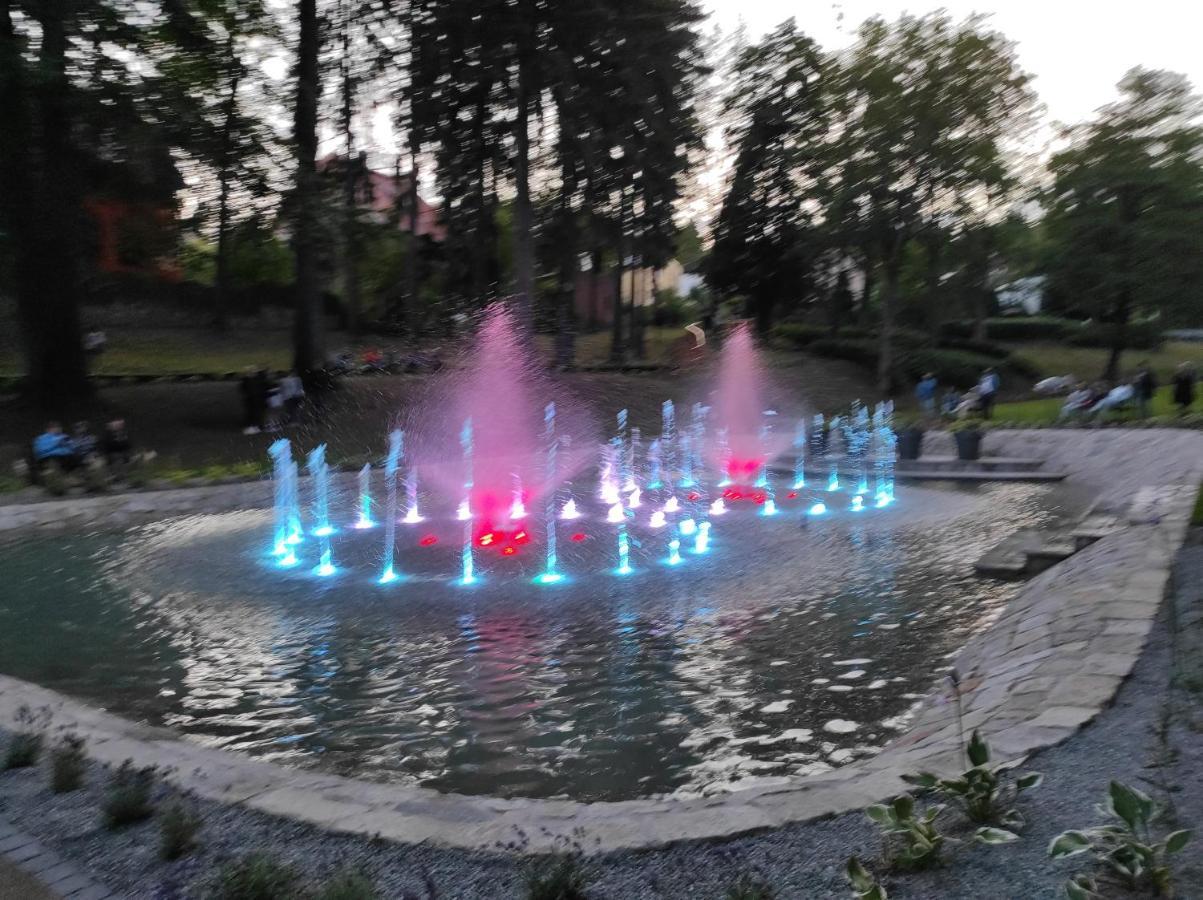 Apartament Pod Jalowcem Gory Sowie 533-543-732 Jedlina-Zdroj Εξωτερικό φωτογραφία